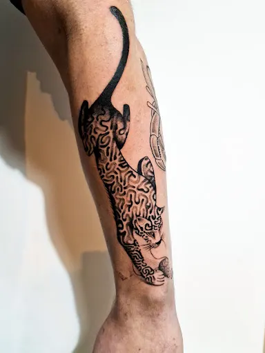 Plaga Tattoo - Studio Tatuażu Kielce